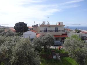 Studio with Garden View