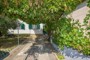 Apartman Goga 