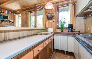 Holiday home in ZlobinGorski Kotar 30458