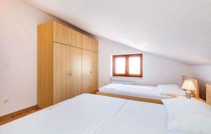 Apartment in Senj 17249