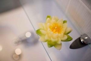 Studio in Vrbnik - Insel Krk 35988