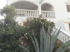 Apartment in Kustici with sea view, terrace, air conditioning, Wi-Fi (4847-2)