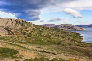 (4890-4) Apartment in Metajna with balcony, air conditioning, WiFi