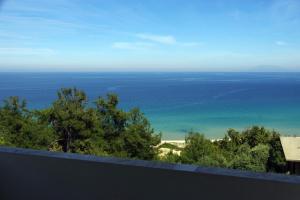 AGATHA STUDIOS PARADISE