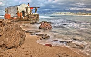 JP Central Home img79