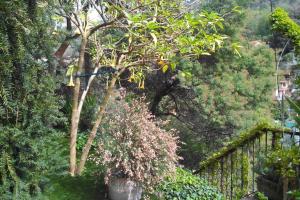 Appartements L'Annexe : photos des chambres