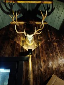 Brīvdienu namiņš ar pirtiņu