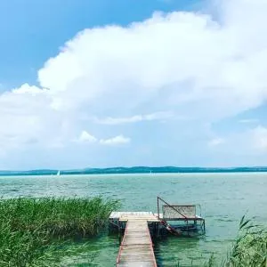 Bella Garden - Ebhegy