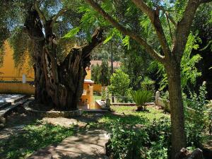 Maria Apartments - Roumanis