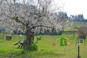 Pensione B&B Pane e Rose San Miniato Italia