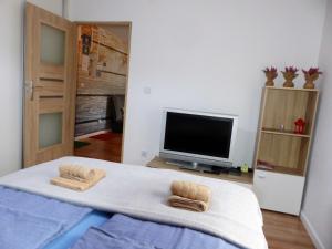 Apartament Kraszewskiego