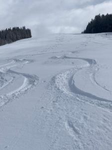 Chalets Savoie : photos des chambres