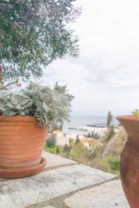 Cycladic Garden Getaway with Panoramic Views Andros Greece