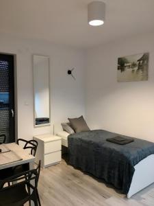 Apartament Fibra Bounty - 3hvězdičkové hotely ve městě Rybnik