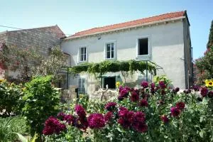 Guest House Katica - Zaton