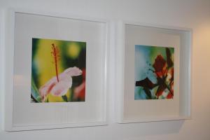 Appartement ZEEDUIN, met VERWARMD ZWEMBAD, eigen KEUKEN, ZONNIG TERRAS nabij DORP, DUINEN en STRAND