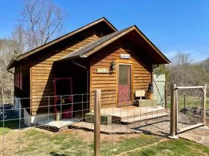 Holy Smokes - Sunshine