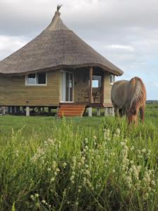 obrázek - Los Chajá Ecolodge