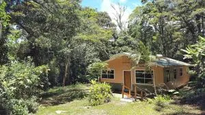 Forest Garden House - San Luis