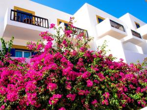 Standard Room with Garden View