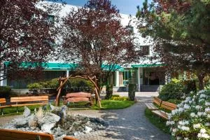 帕特纳酒店 - 维什库夫