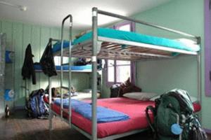 Single Bed in 6-Bed Female Dormitory Room room in Funny Farm Backpackers