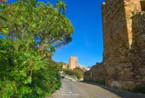 JP Central Home img72