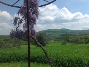 Residenza dEpoca La Commenda