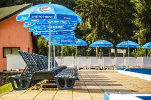 Pensiunea Mayumi Moneasa