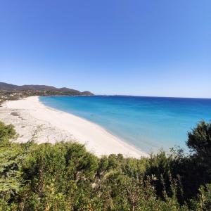 Villa Mannus - Splendida villa vista mare con piscina img24