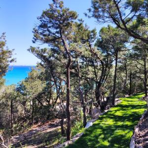 Villa Mannus - Splendida villa vista mare con piscina img23