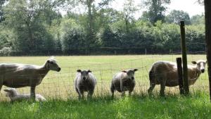 Landhotel Diever