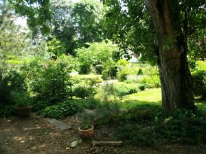 B&B / Chambres d'hotes Le chalet du Bord de l'eau : photos des chambres
