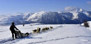 Appartements Des vacances bien etre et nature a Val Louron : photos des chambres