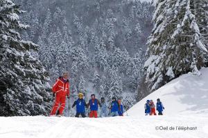 Appartements Vacances paisibles au coeur des montagnes pour 6 personnes : photos des chambres