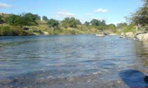 Los Arbolitos Cabañas y Aparts