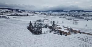 B&B / Chambres d'hotes Chateau de Grandmont Chambres d'hotes : Chambre Lit King-Size - Vue sur Jardin