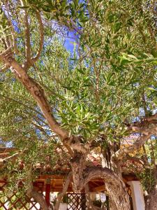 Apartment in Ražanj with Seaview, Terrace, WIFI (3743-1)