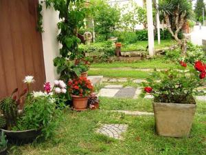 Apartment in Pakoštane with terrace, WiFi (3539-3)