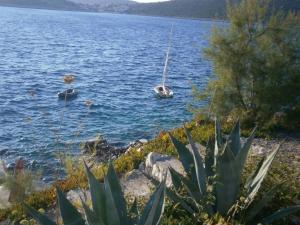 Apartment in Sevid with Seaview, Balcony, Air condition, WIFI (4755-3)