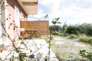 No.5 Lorraine's Apartment close to Lourdas Beach Kefalloniá Greece