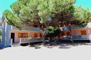 Apartments in Rosolina Mare 24876