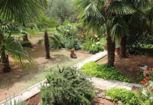 Apartment Plava Plaza (4382-1)