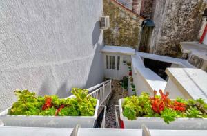 Apartment in Crikvenica 14216 