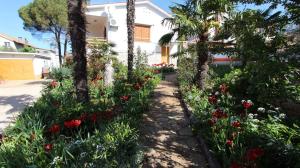 Apartment in Malinska 40