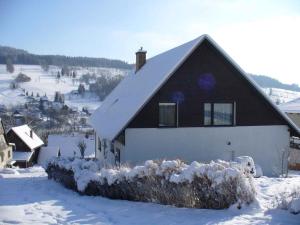 Apartment in Rokytnice nad Jizerou 2471