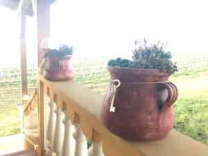 Joe Bácsi Rezidenciája