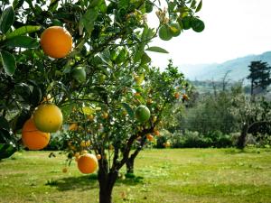 Resilienza Apartment