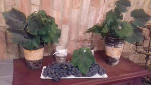 Ubytování U Štěpána