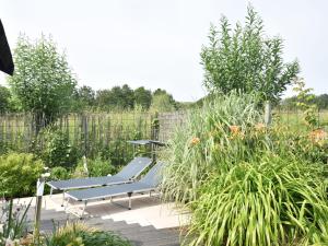 Duinzicht holiday home in Nieuwvliet with garden